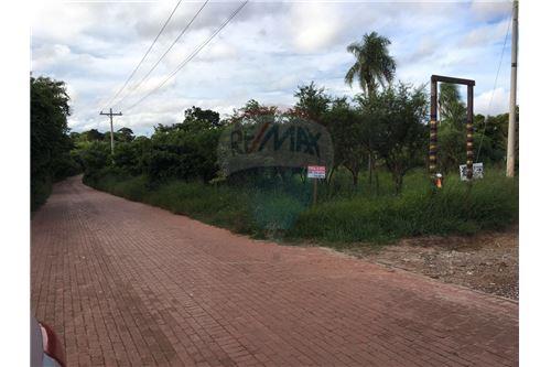 Terreno Zona Urubo, camino a tarumatu Foto 2