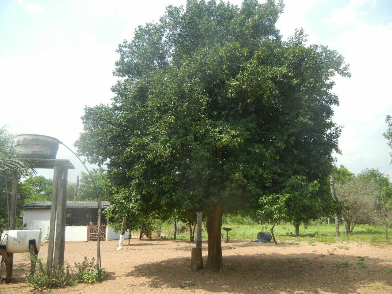 Terreno en VentaA 60 Km al Sur de Roboré Foto 2