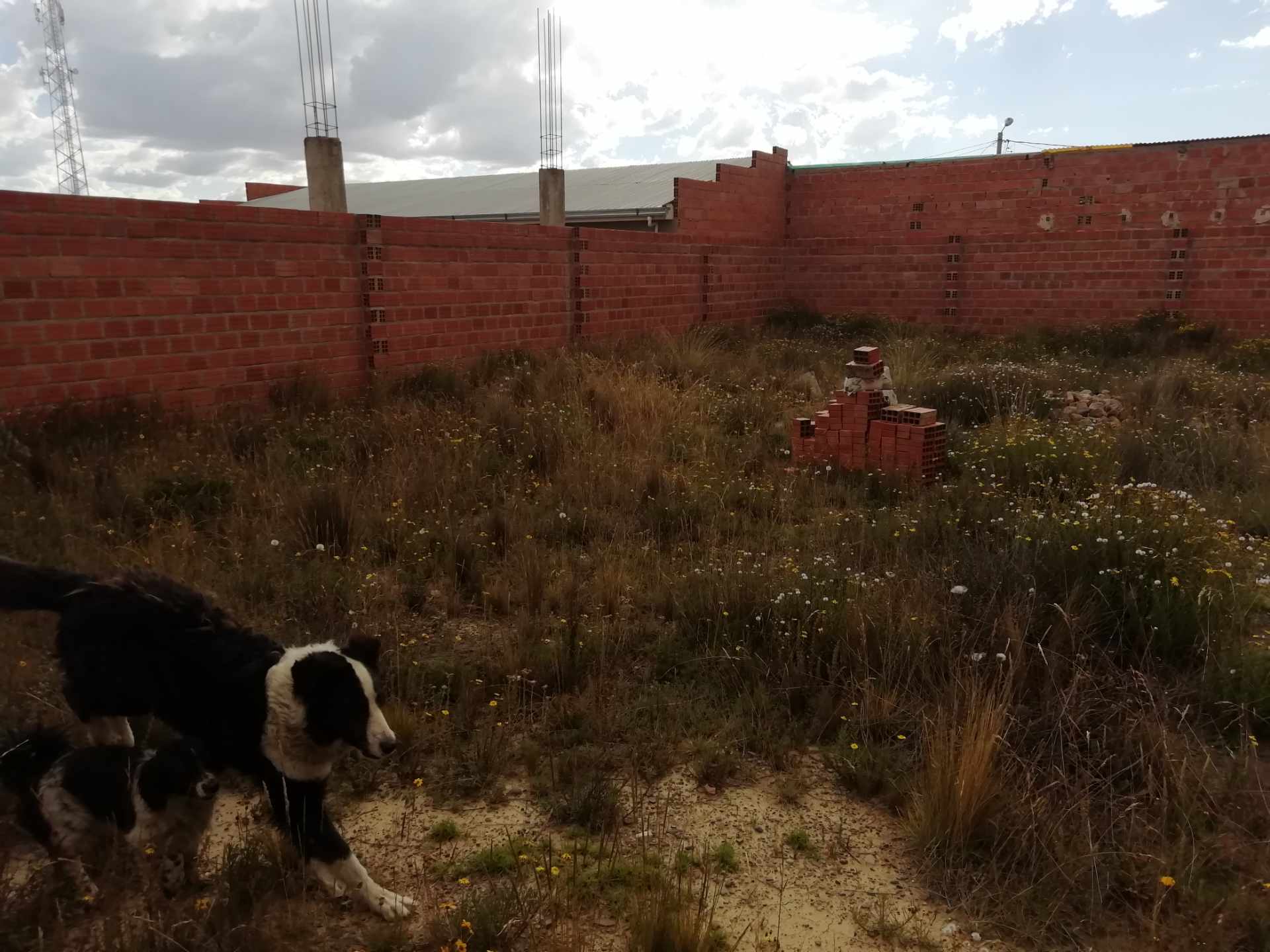 Terreno en Villa Adela en El Alto    Foto 8
