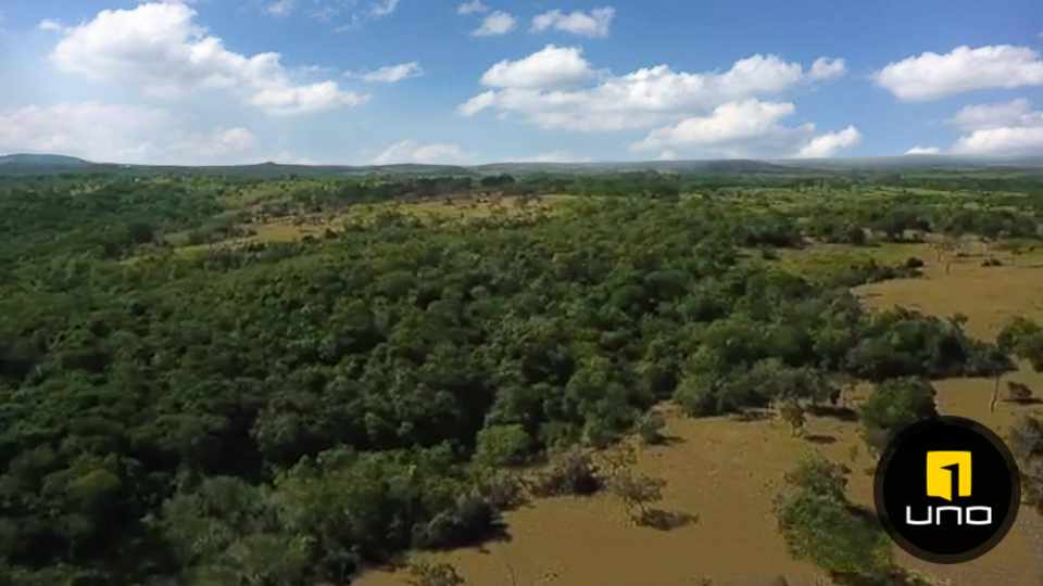 Quinta propiedad agrícola en VentaSOBRE CARRETERA A SAN JAVIER Foto 10