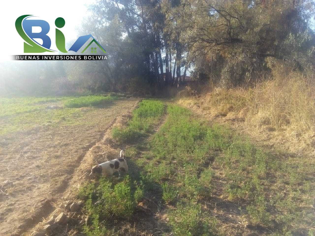 Terreno $us.68 c/m2 LOTE URBANO MARQUINA QUILLACOLLO Foto 12