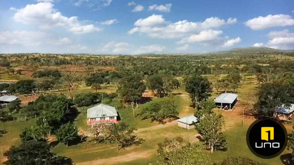 Quinta propiedad agrícola en VentaSOBRE CARRETERA A SAN JAVIER Foto 13