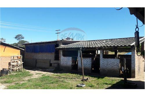 Terreno en Doble vía La Guardia en Santa Cruz de la Sierra 5 dormitorios 3 baños  Foto 13