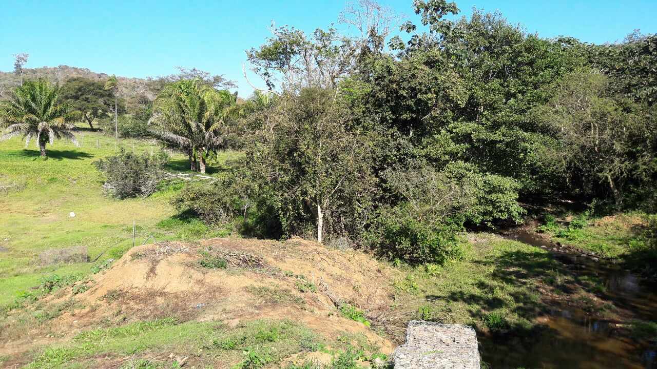 Terreno HERMOSA PROPIEDAD GANADERA 1742.83 Has. A 45 KM AL SUR DE CONCEPCION PROXIMO A LA COMUNIDAD EL CARMEN Foto 14