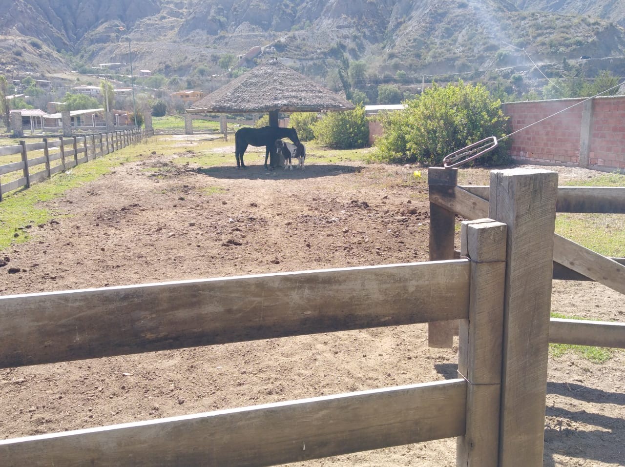 Terreno en Río Abajo en La Paz    Foto 23