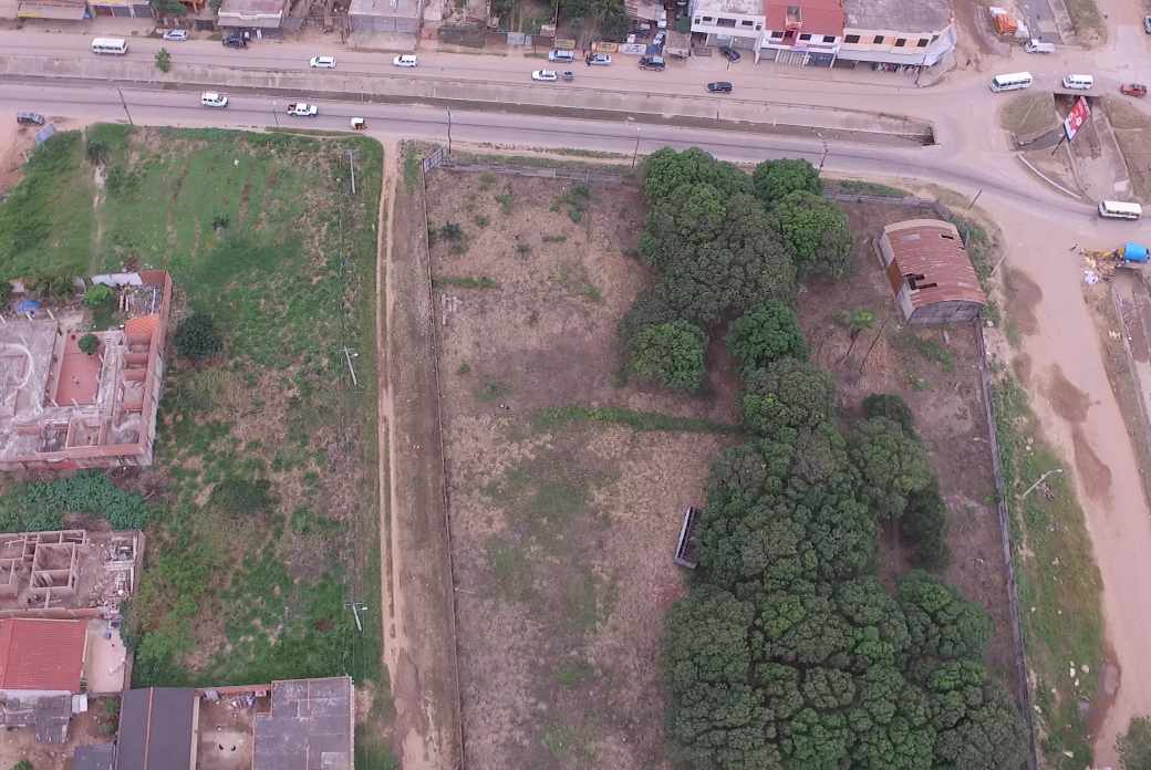 Terreno en Pampa de la isla en Santa Cruz de la Sierra    Foto 3