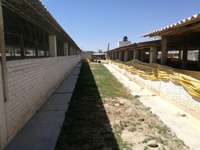 En Venta a $us 498,000 Foto 3