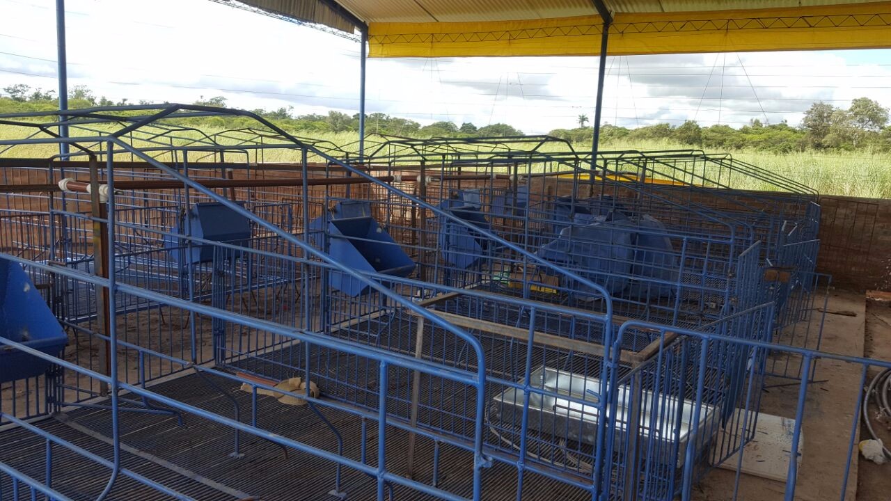 Terreno Entrando por Zona Franca Carretera a Warnes Foto 3