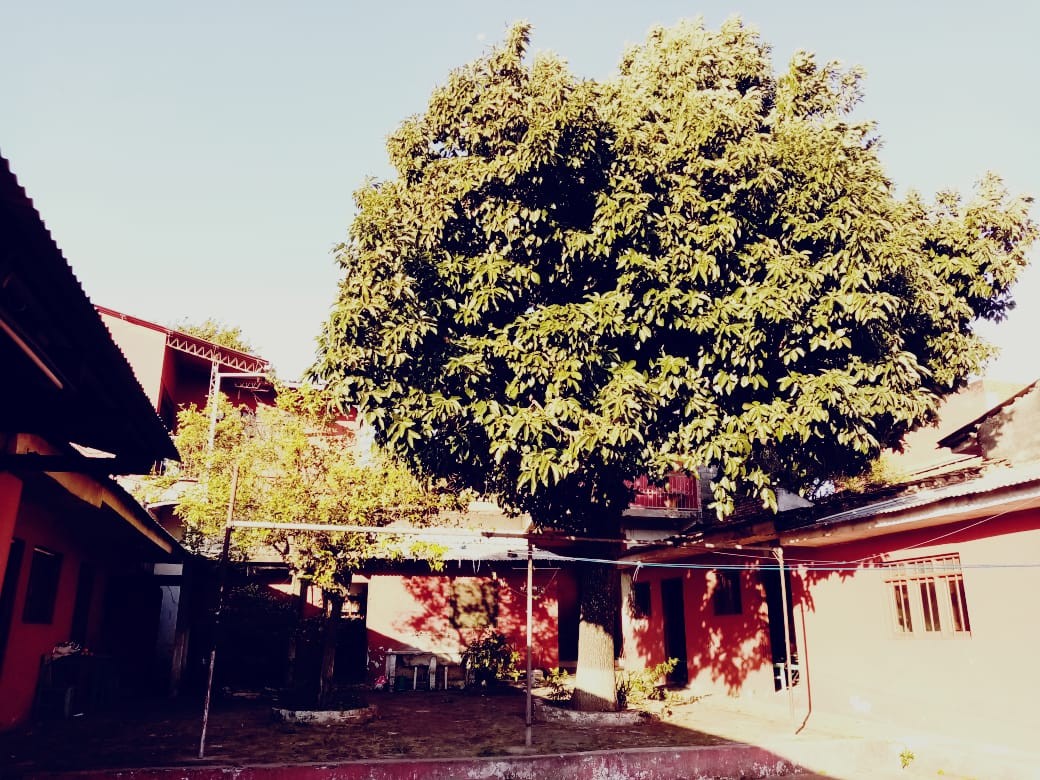 Casa en VentaAv. Omar Chavez entre 1er  y 2do anillo 10 dormitorios 11 baños 2 parqueos Foto 2