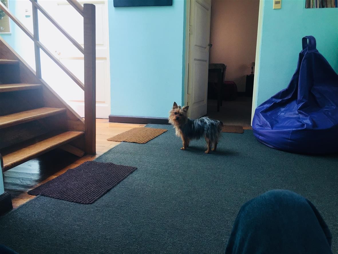 Casa en Sopocachi en La Paz 3 dormitorios 5 baños 1 parqueos Foto 2