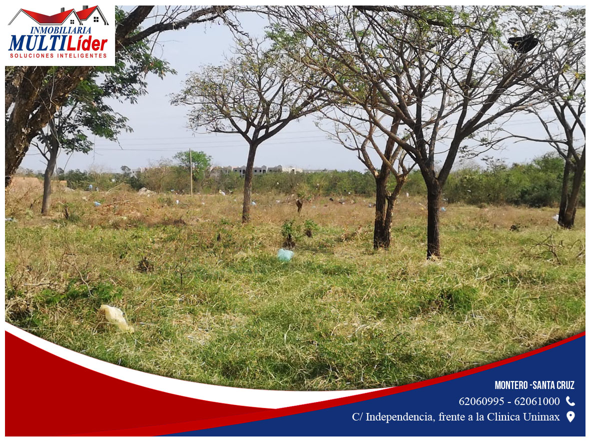 Terreno en Montero en Montero    Foto 4