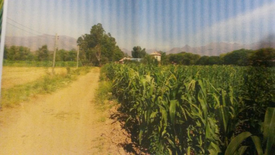 Terreno Carretera Cbba-Oruro Km. 27 (Suticollo) Foto 2
