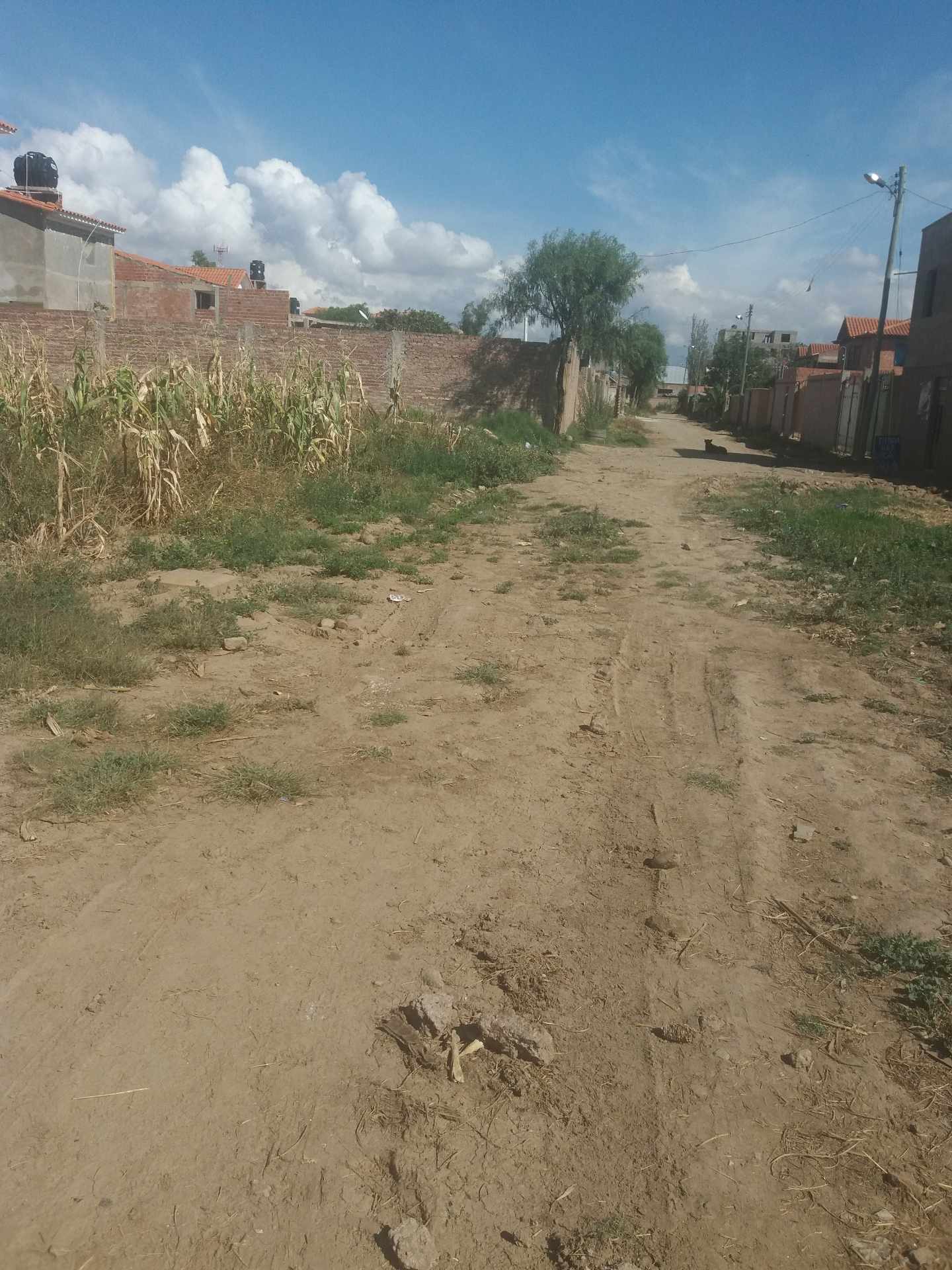 Terreno en VentaAV. PANAMERICANA ESQUINA COLEGIO SAN ANTONIO, CAMINO EN SENTIDO A MOLLE MOLLE; ZONA SUD PUCARA Foto 6