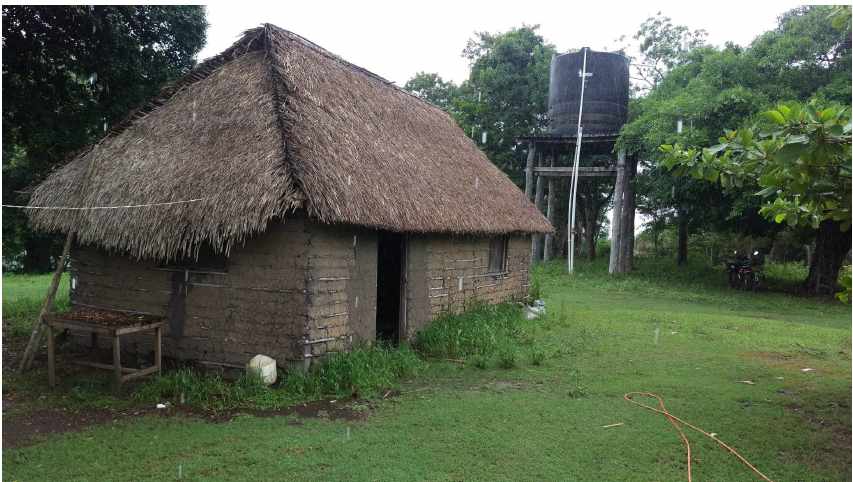 Terreno en VentaPropiedad ganadera en San Javier, 24km al oeste camino hacia El Puente    Foto 16