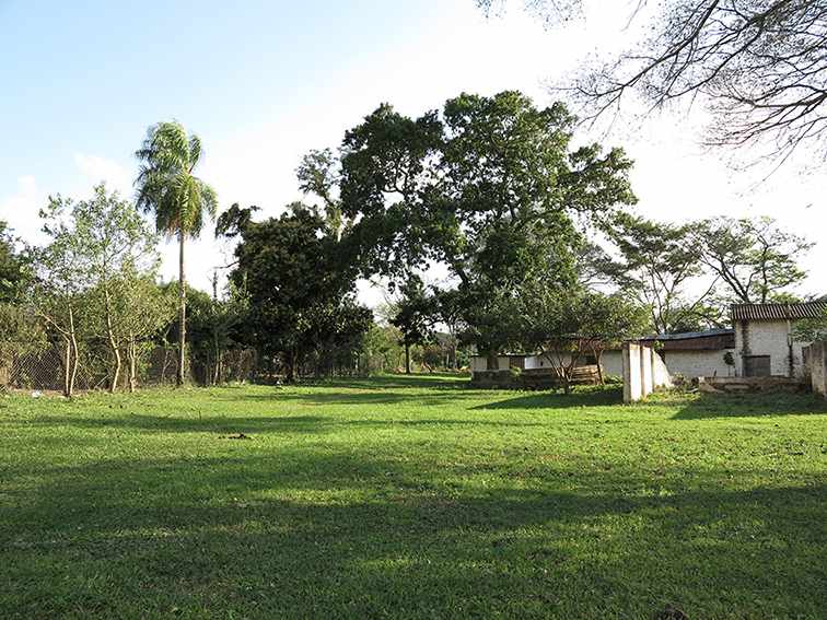 Quinta propiedad agrícola en VentaLa Guardia a 500 m de la Doble vía La Guardia Foto 14