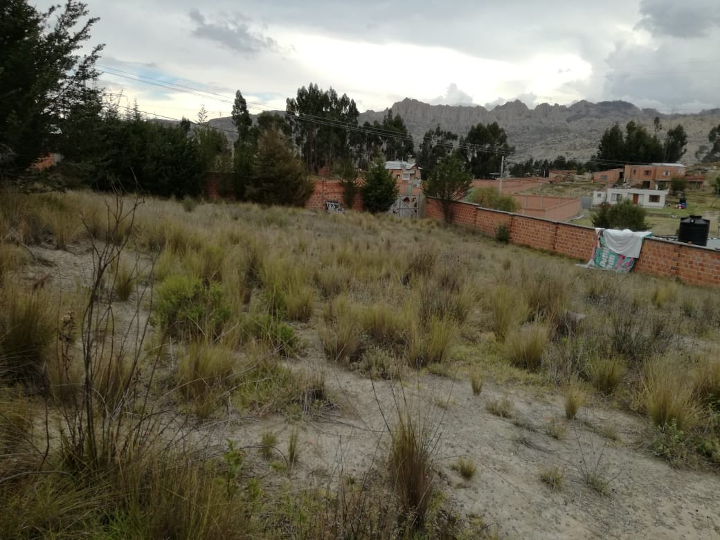Terreno en VentaEn venta Terreno en Achocalla de 1450m2 a 3 cuadras de la Universidad Privada Boliviana Foto 5