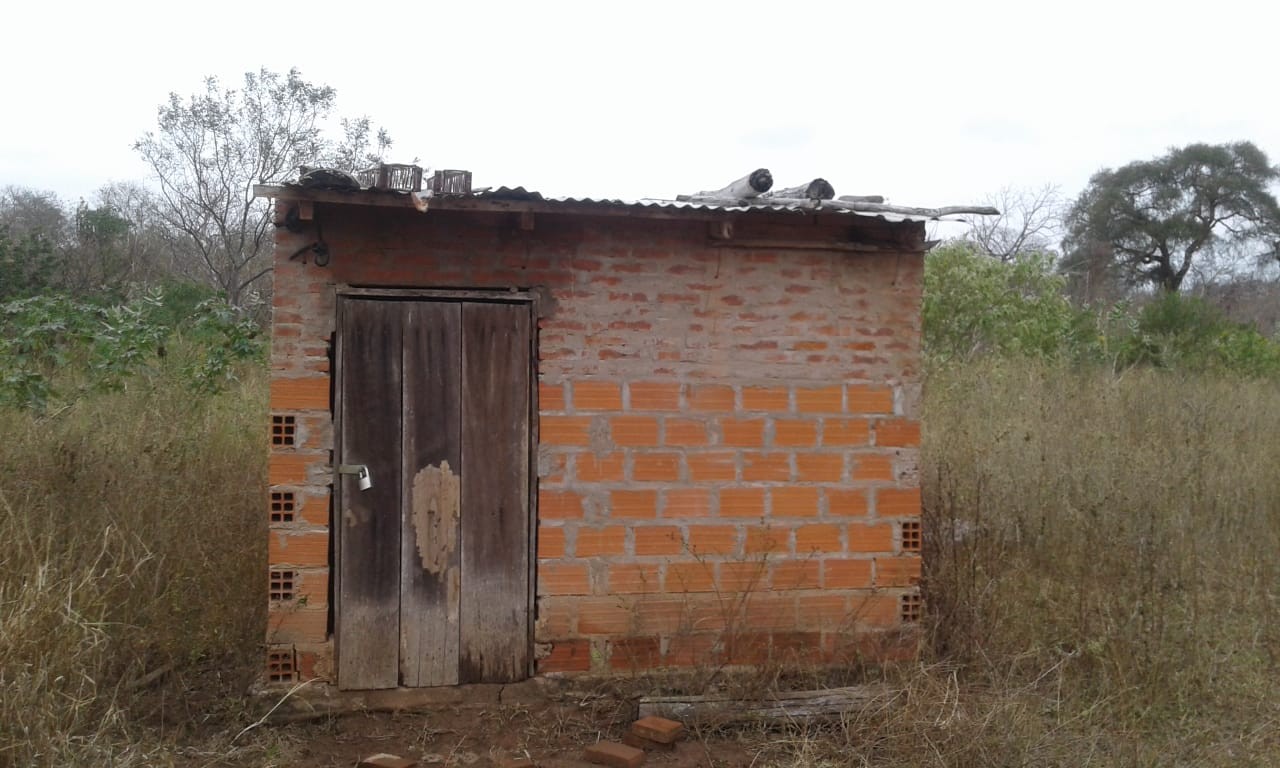 Terreno Vendo bonita propiedad de 100 hectáreas, en el km 100 pasando Mora Foto 5