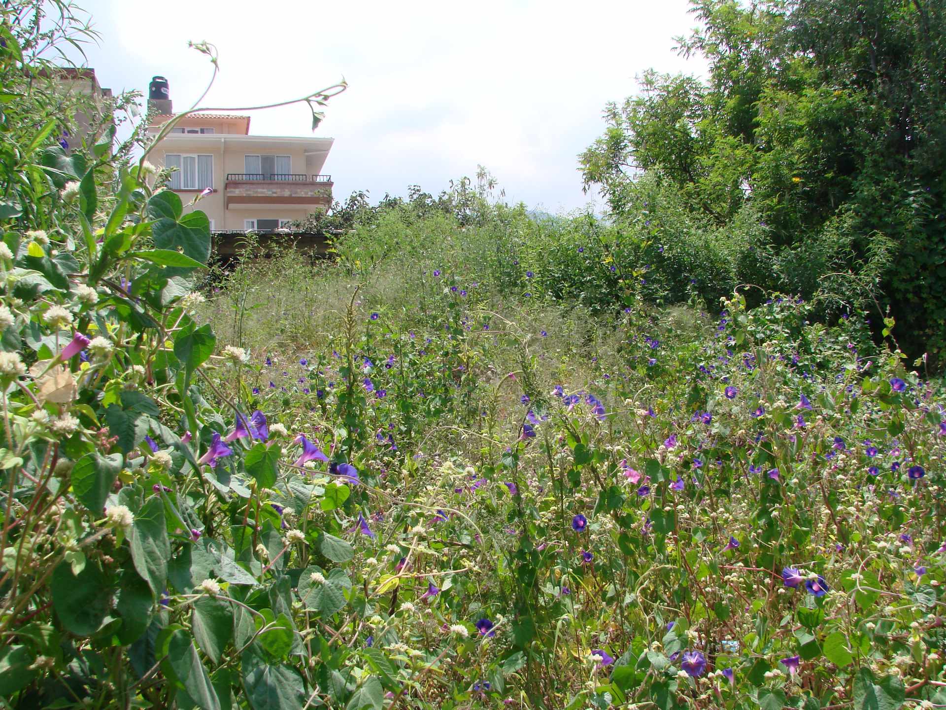 En Venta a $us 126,000 Foto 2