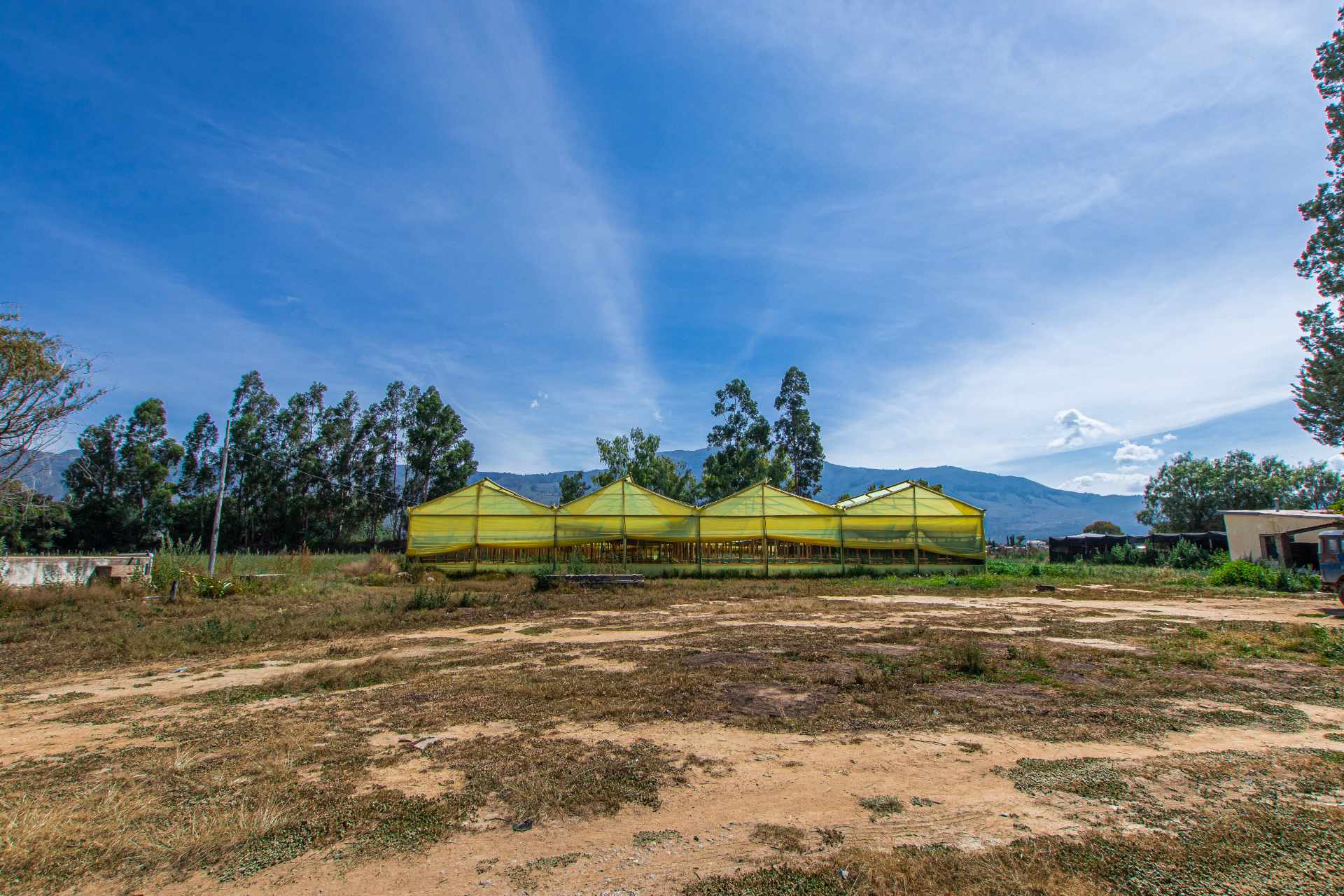 Zona de Muyu Muyu, Provincia Punata us 358,000 [UC