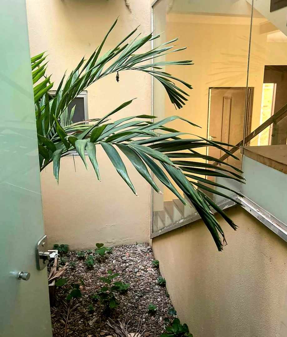 Casa en VentaURUBÓ
LOS PARQUES 2
Condominio Cerrado Foto 7