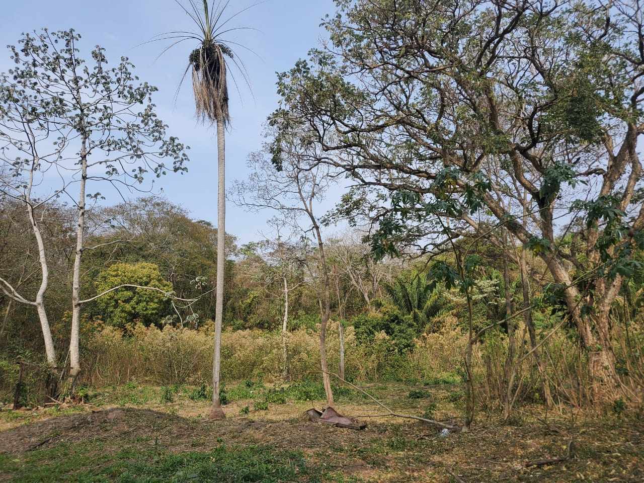 Terreno en VentaZ/Santa Martha terrenos en Venta de ocasión    Foto 5