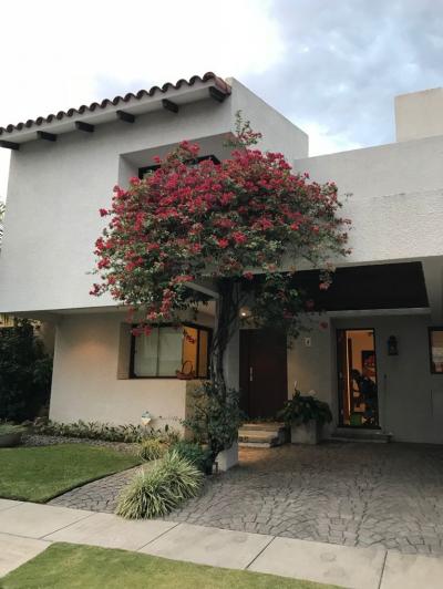 805911e3aa5f1eb305db52f02193127555c845