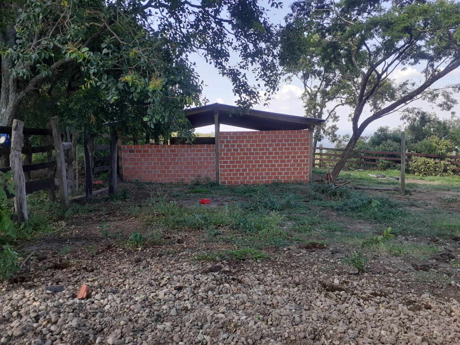 Quinta propiedad agrícola en Doble vía La Guardia en Santa Cruz de la Sierra    Foto 23