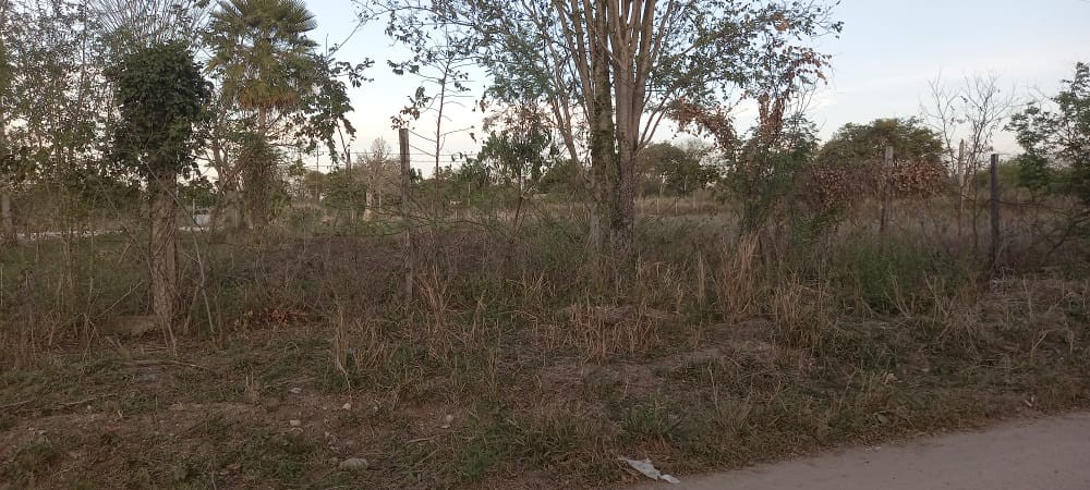 Terreno en VentaLocalidad: Puerto Suárez - Barrio: 3 de Mayo
Puerto Suárez - Bolivia. Foto 5