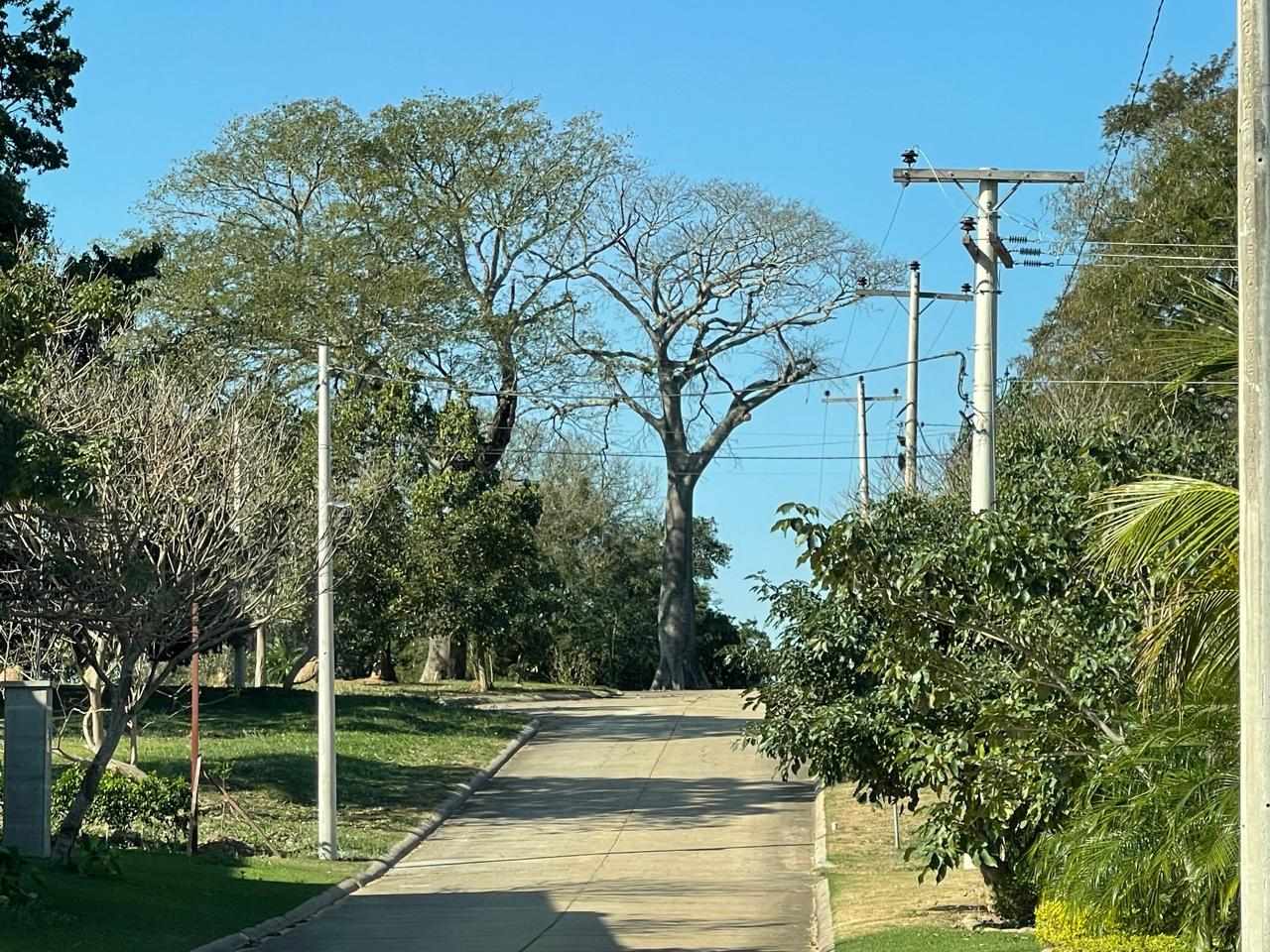 Terreno en VentaHermosos terrenos en altura en condominio Las Palmas del Urubo I    Foto 1