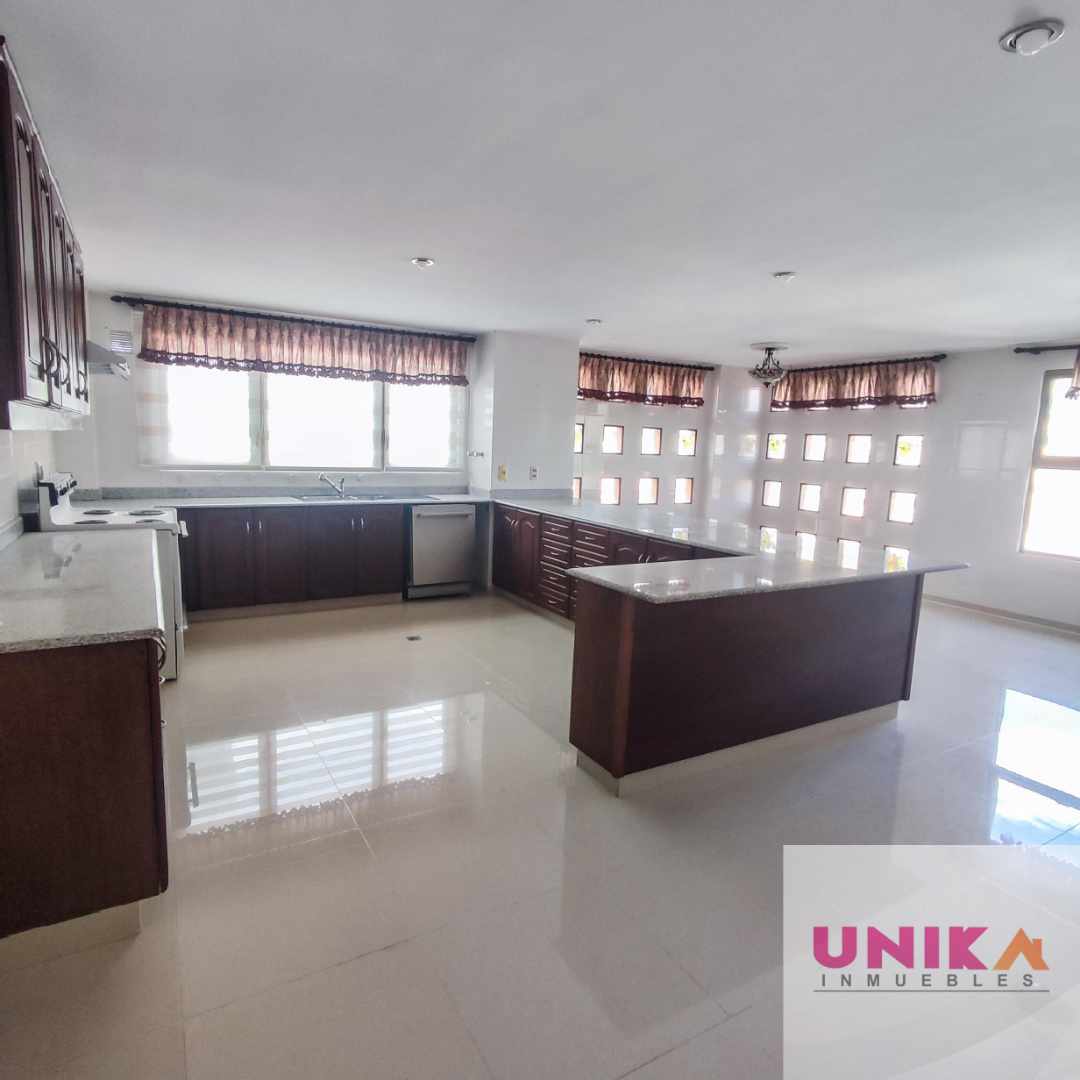 Departamento AMPLIO PENTHOUSE EN ALQUILER, CALACOTO  Foto 13