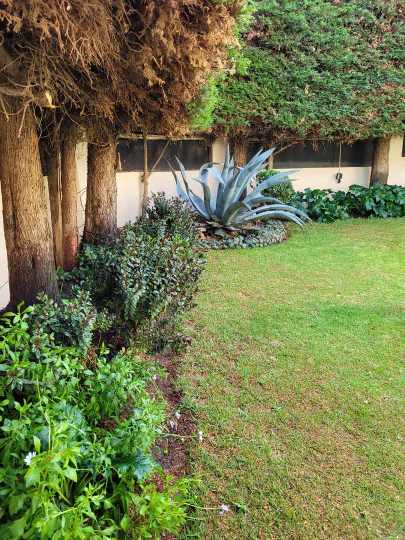 Casa CALACOTO  Foto 25