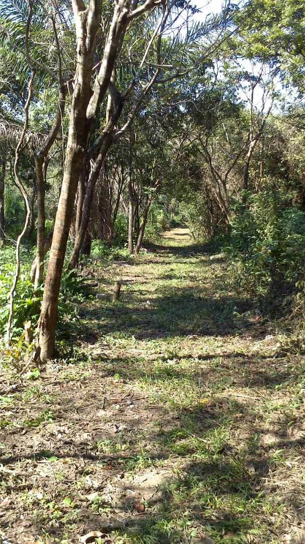 Terreno Buenavista - Resort Quintas Buena Vista Foto 4