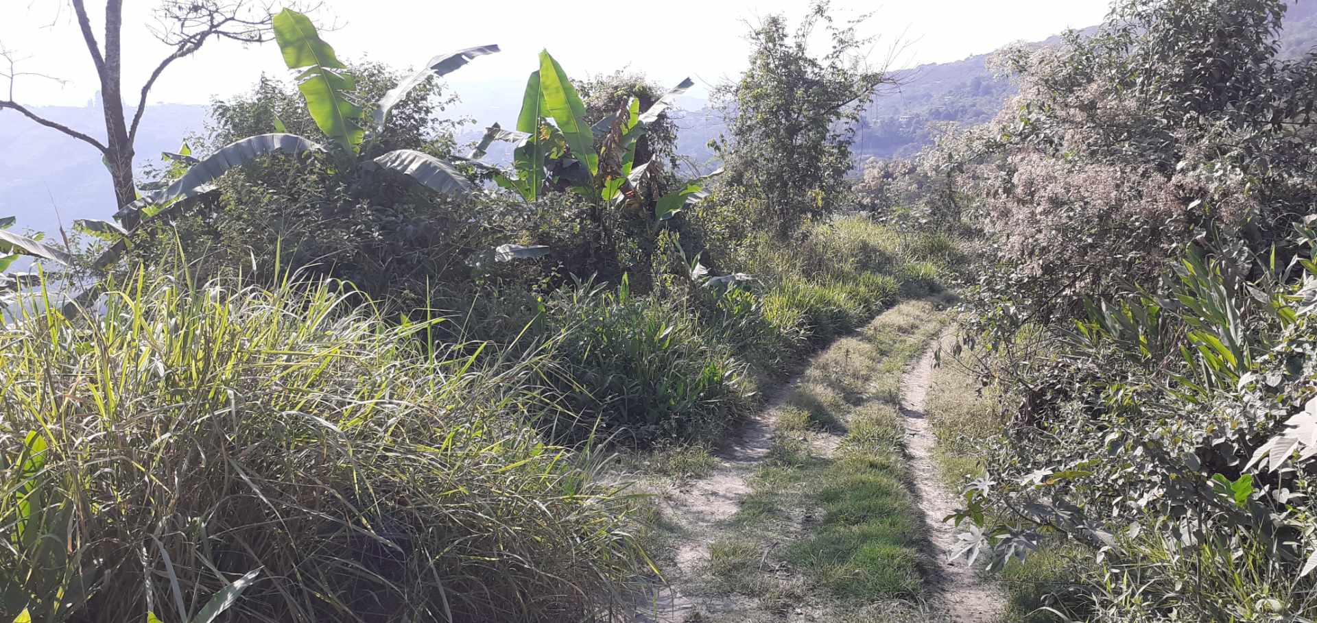 Terreno en Calacoto en La Paz    Foto 4