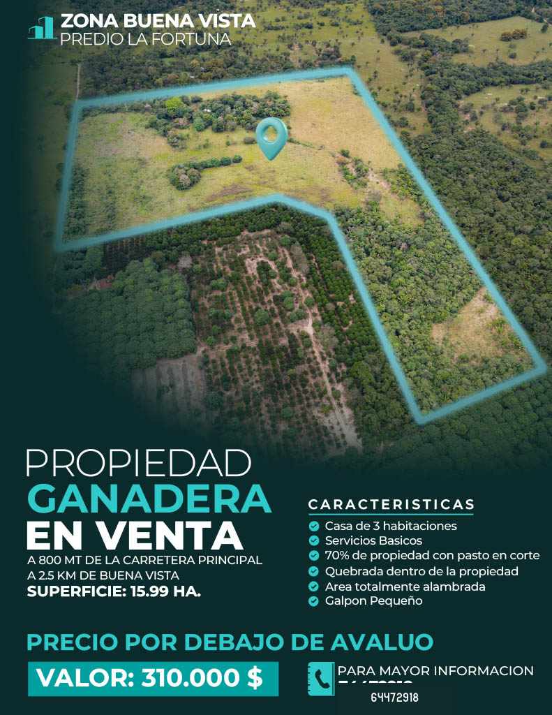 Quinta propiedad agrícola Buena Vista Foto 2