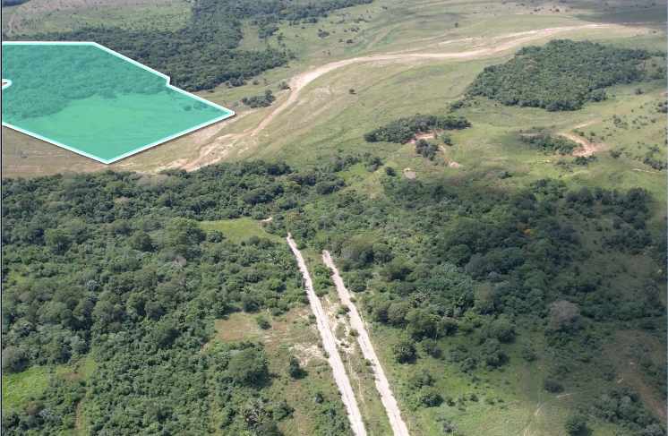 Terreno en VentaUrubó zona Norbélgica atrás de Puerto Santa Cruz.  Foto 4