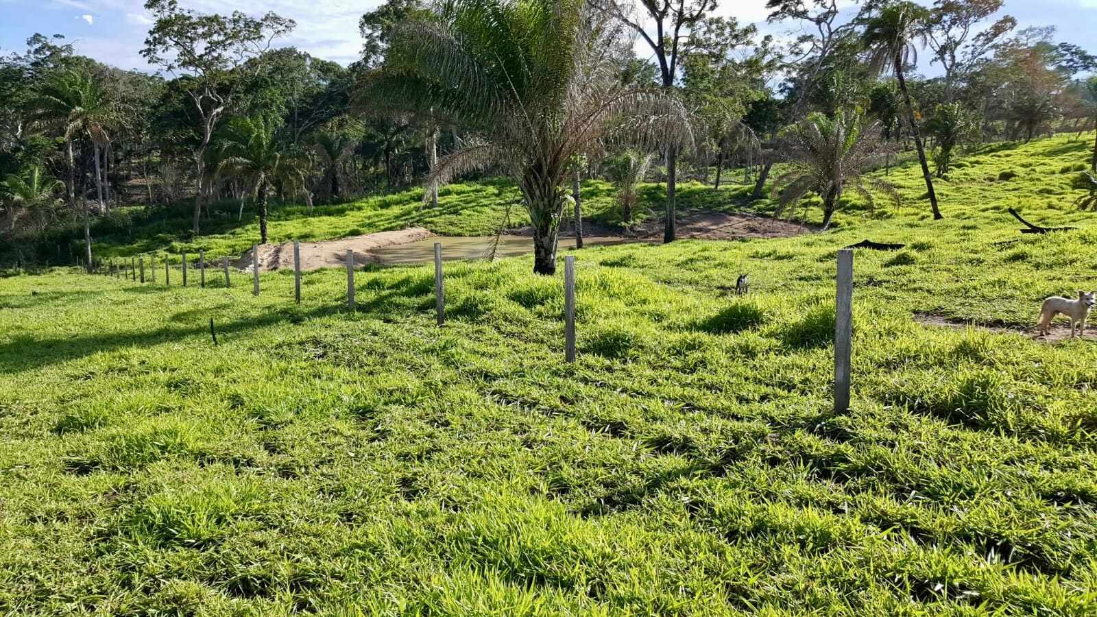 Quinta propiedad agrícola En Venta: 500 Hectáreas Ganaderas en San Javier Foto 7