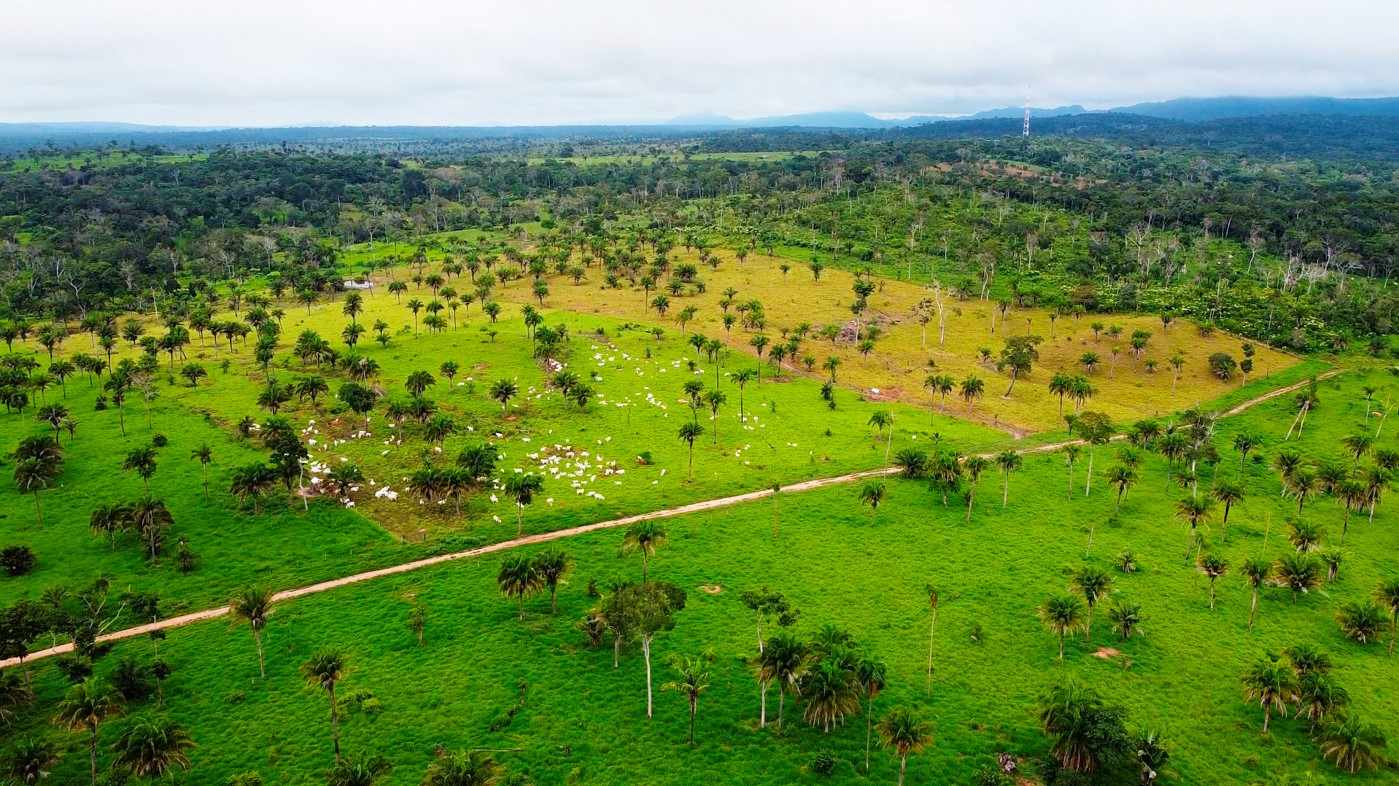 Quinta propiedad agrícola en VentaPROPIEDAD GANADERA EN EL MUNICIPIO DE SAN JAVIER Foto 3