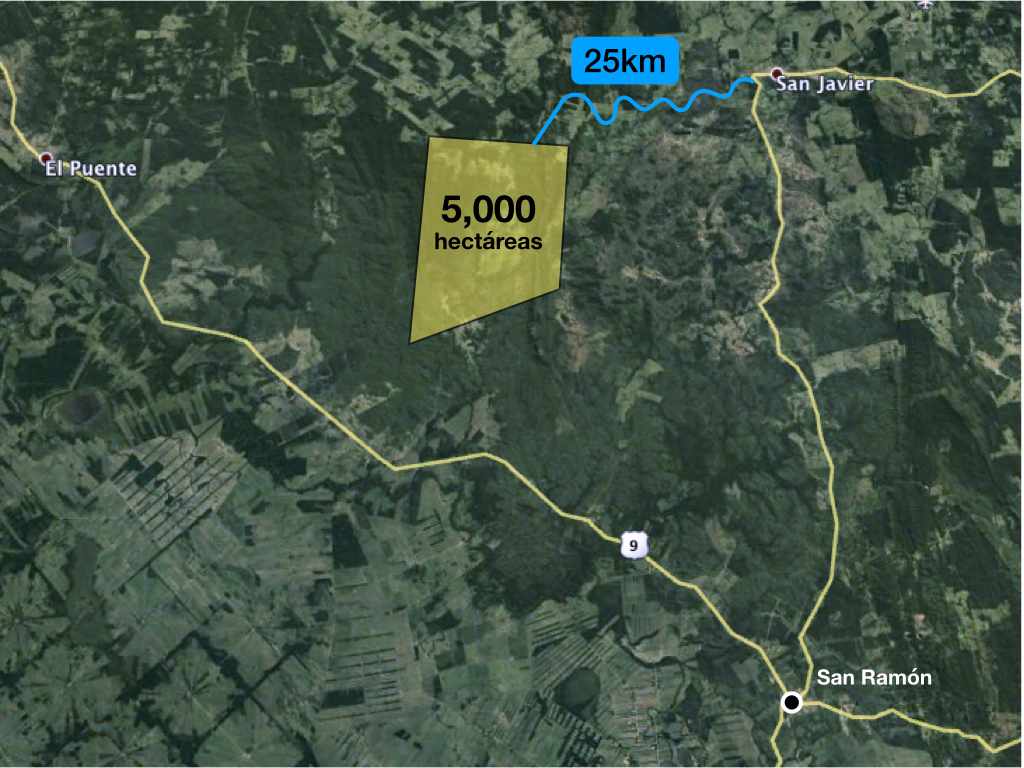 Terreno en VentaPropiedad ganadera en San Javier, 24km al oeste camino hacia El Puente    Foto 6