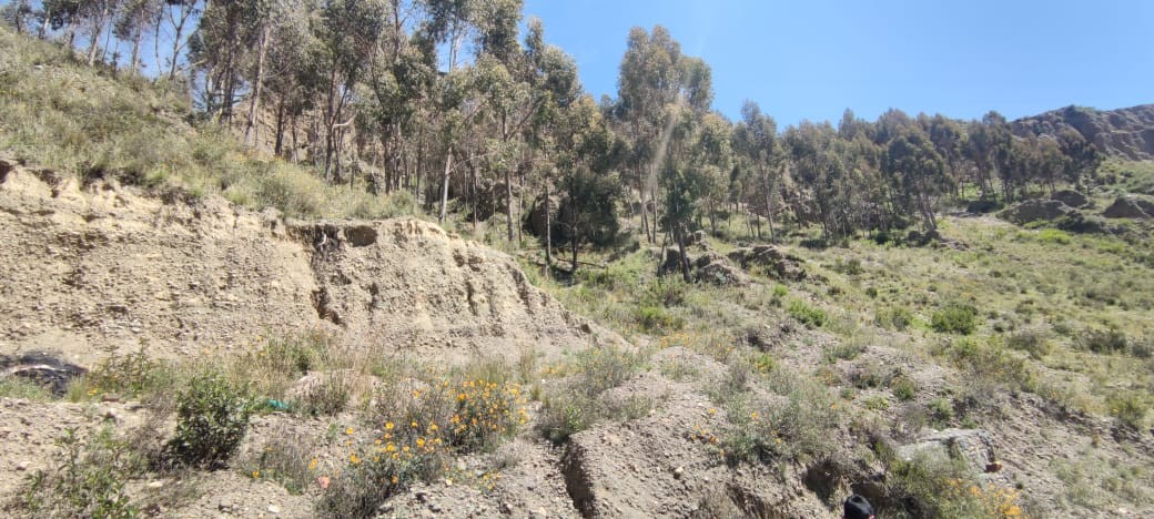 Terreno en VentaAchocalla, colindante con Senkata El Alto    Foto 4