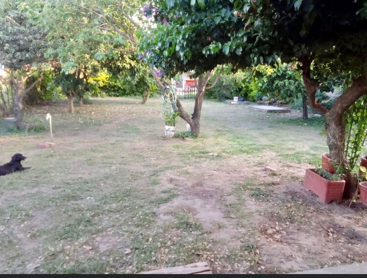 Casa en Entre 8vo y 9no anillo Norte en Santa Cruz de la Sierra 3 dormitorios 1 baños 5 parqueos Foto 7