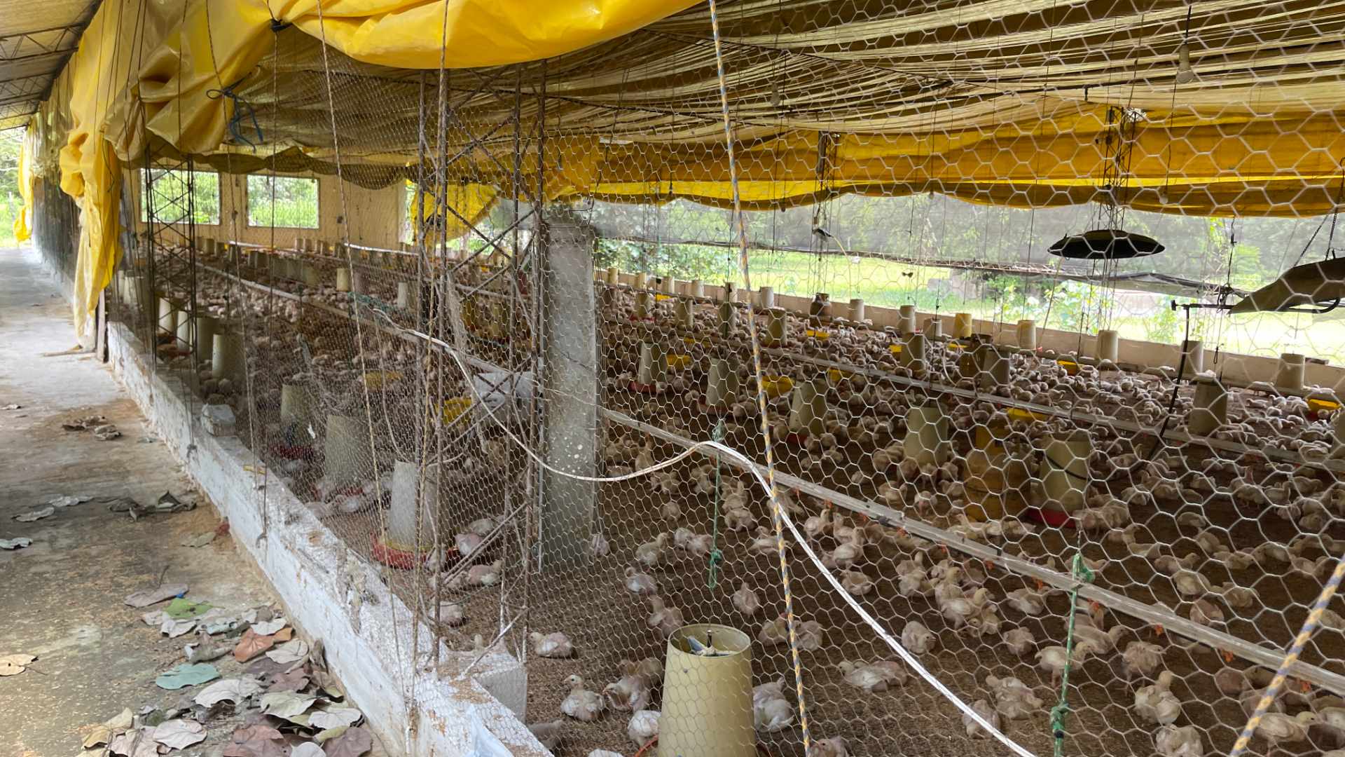 Galpón en Carretera Cotoca en Santa Cruz de la Sierra    Foto 9