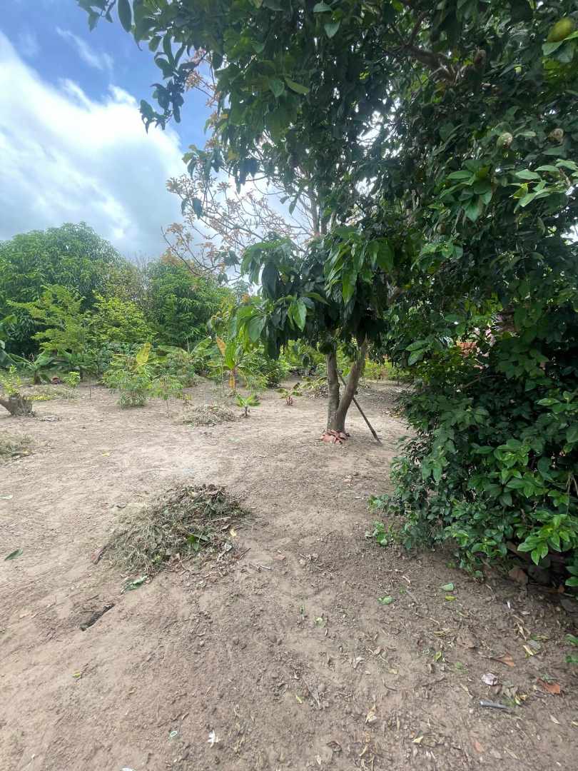 Casa en Warnes en Warnes 1 dormitorios 1 baños 1 parqueos Foto 3