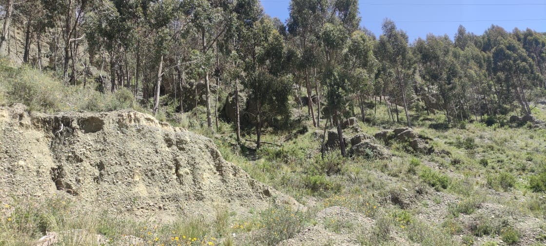 Terreno en VentaAchocalla, colindante con Senkata El Alto    Foto 5