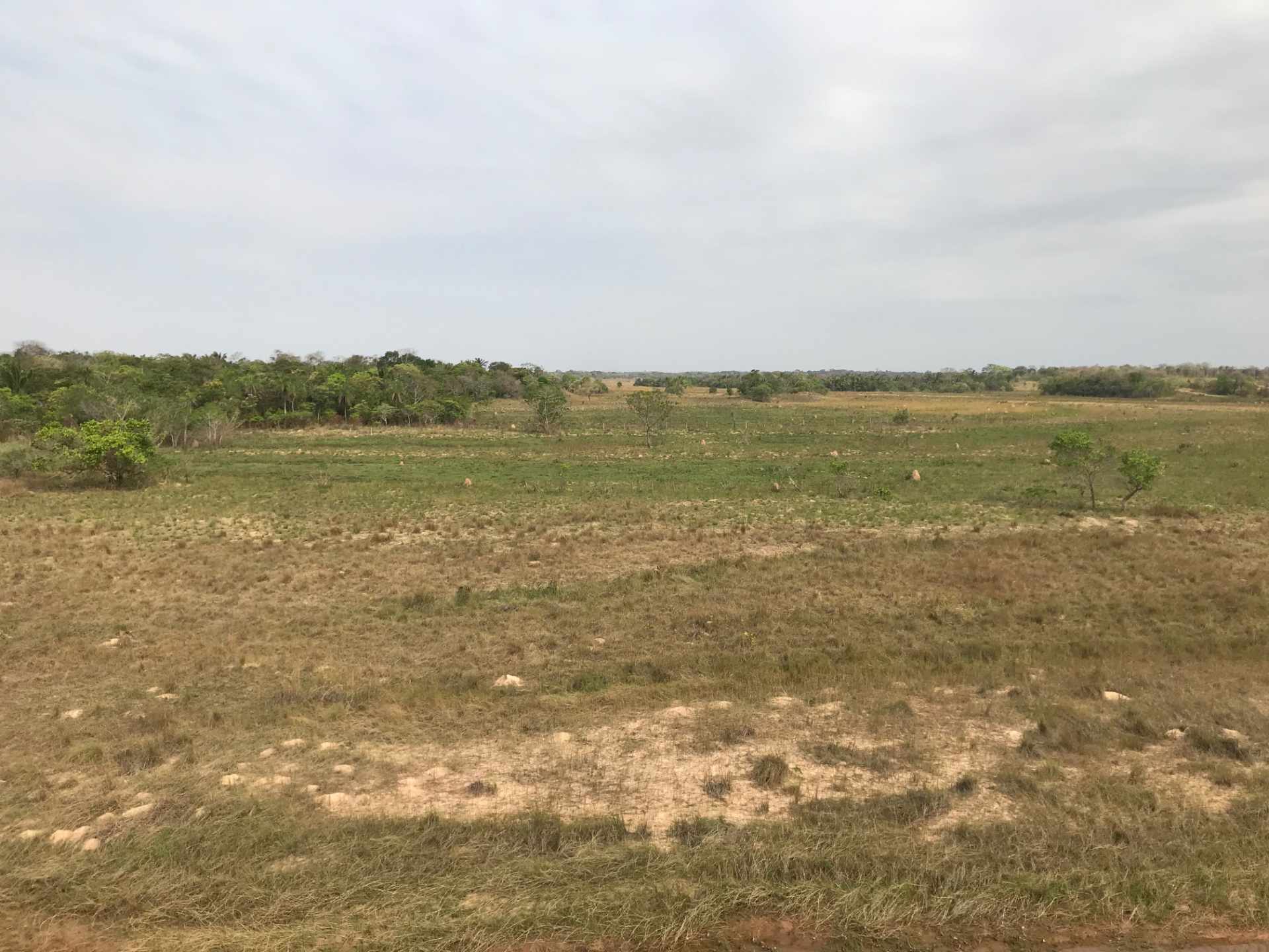 Terreno en VentaUrubó zona Norbélgica atrás de Puerto Santa Cruz.  Foto 18