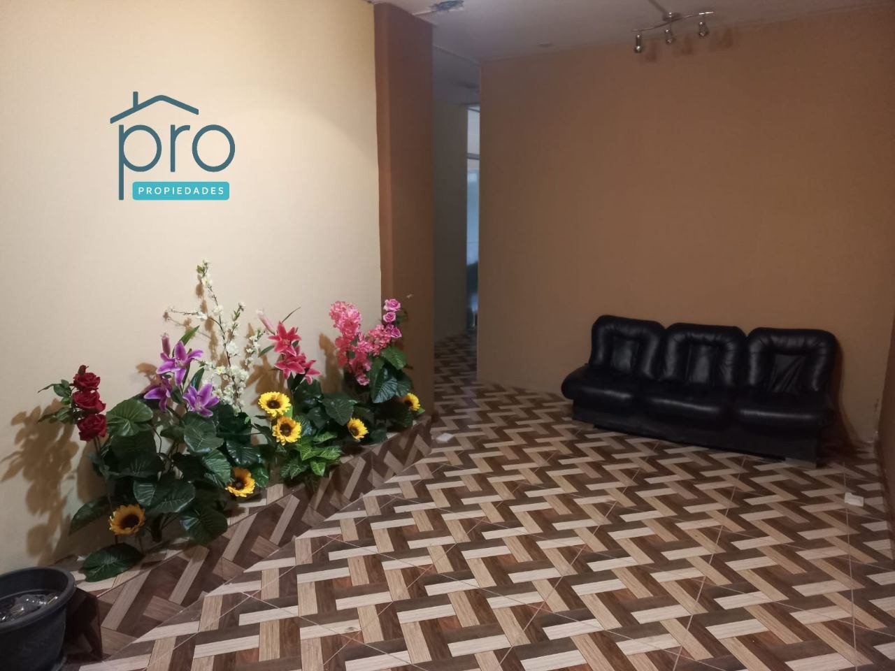 Oficina Perez velasco centrico Foto 1