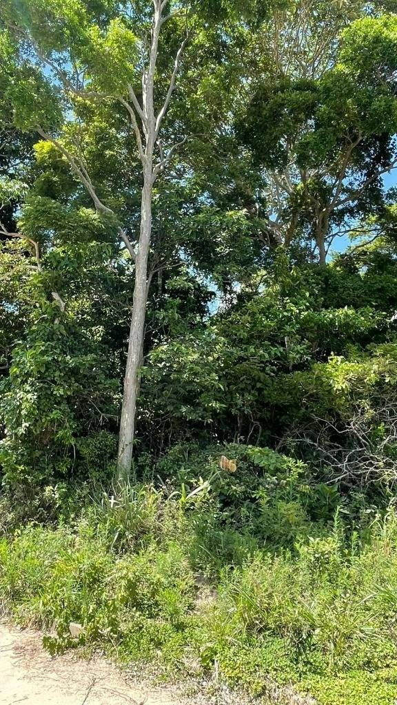 Terreno en Zona Nueva Santa Cruz en Santa Cruz de la Sierra    Foto 4