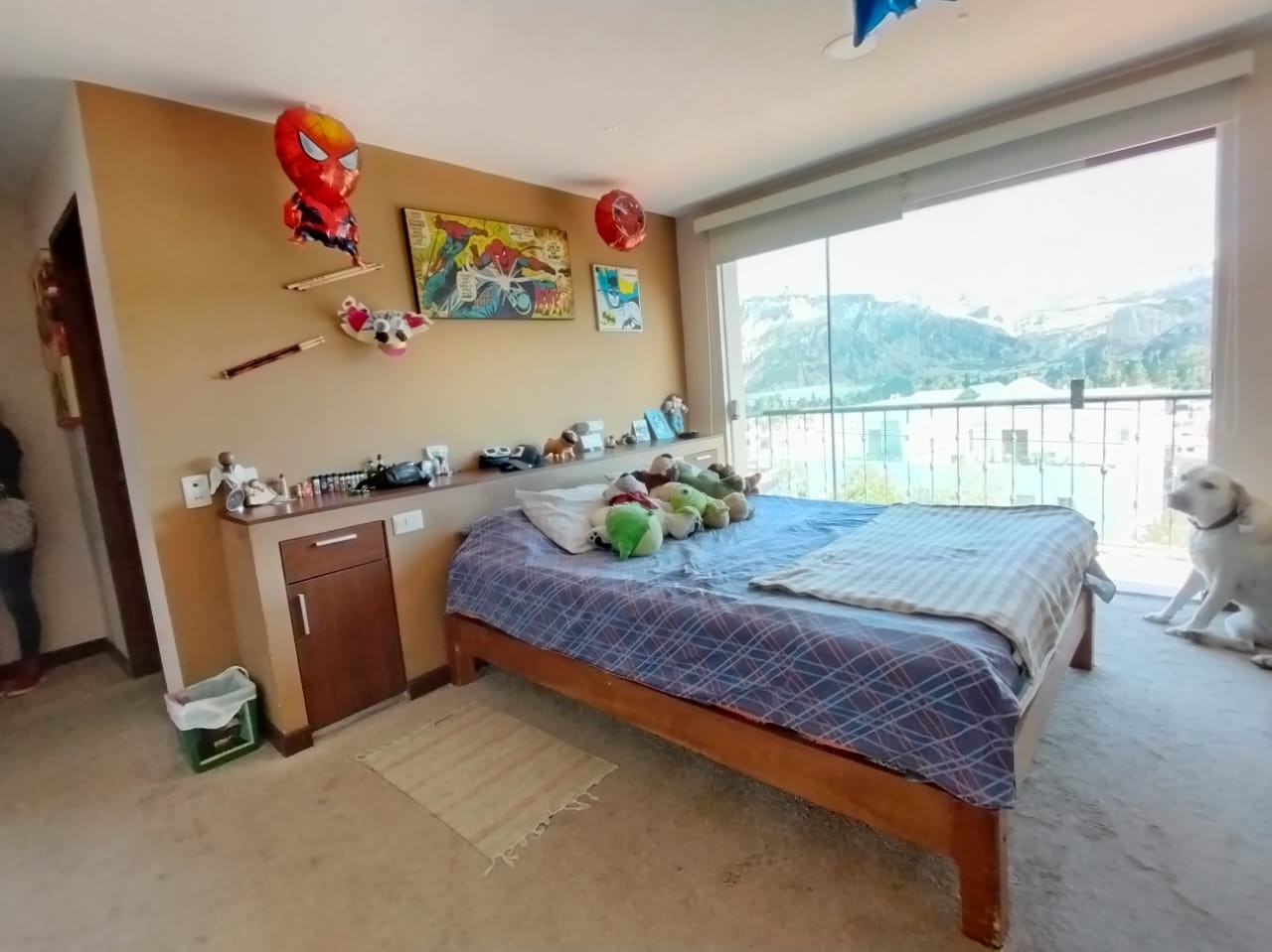 Casa en Mallasilla en La Paz 4 dormitorios 6 baños 2 parqueos Foto 7