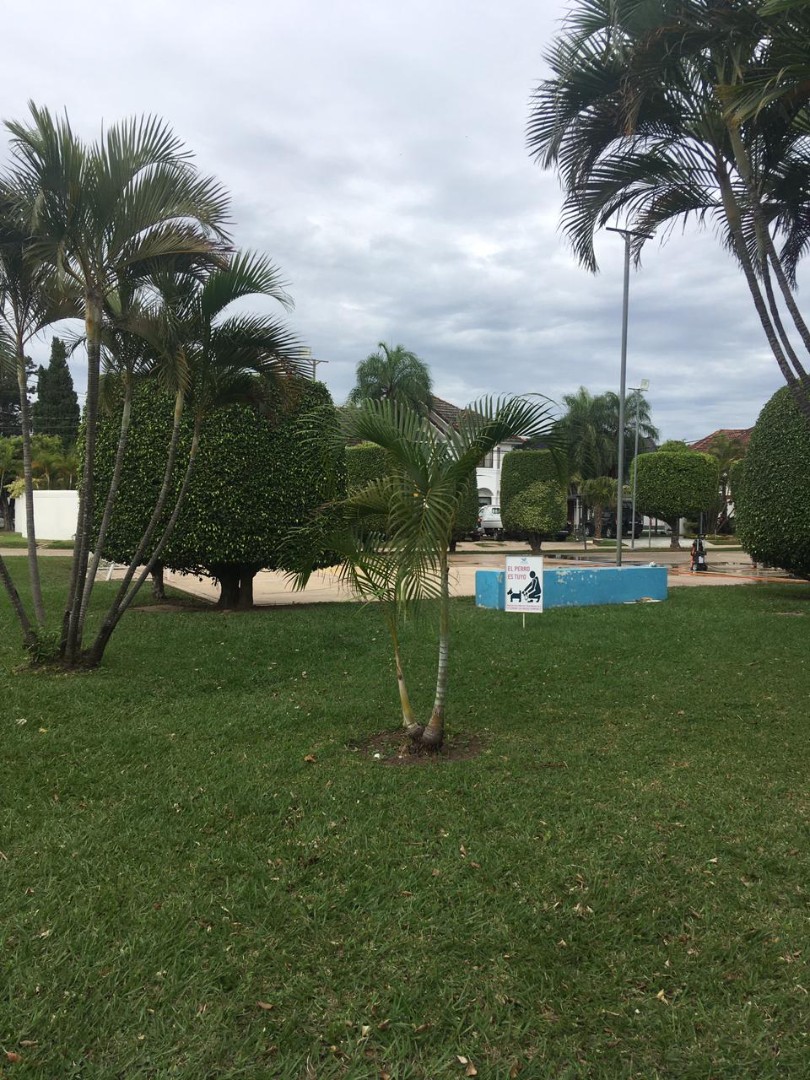 Casa Casa en Condominio - Doble Vía La Guardia (4to y 5to anillo) Foto 6