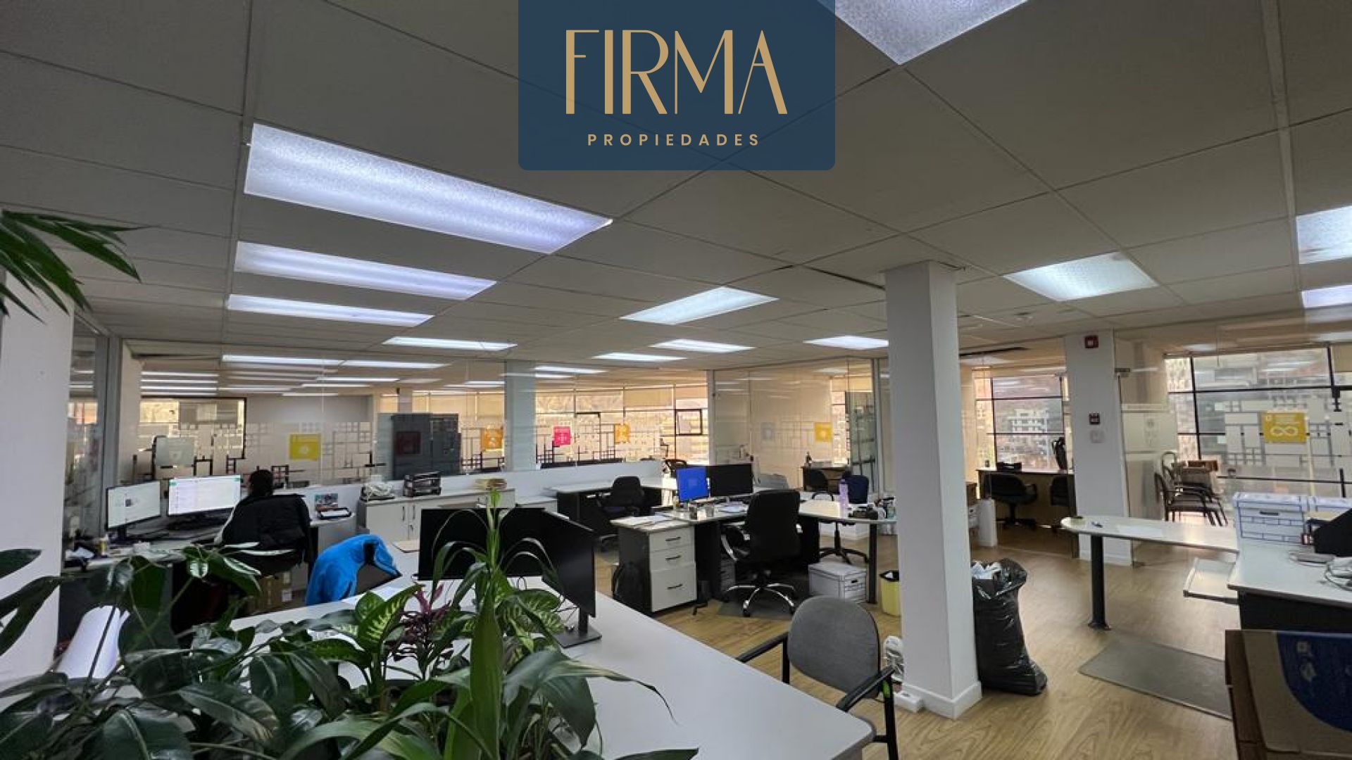 Oficina en AlquilerALQUILA ESTA OFICINA EN CALACOTO  5 baños 1 parqueos Foto 5