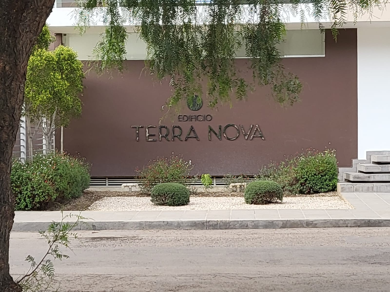 Terranova